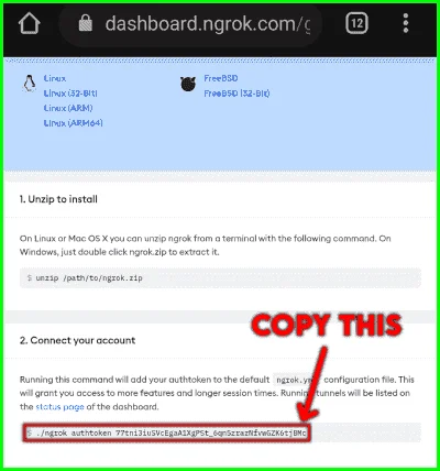 Copy-ngrok-authtoken-from-ngrok.webp