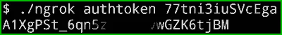authanticate-ngrok-with-authtoken.webp