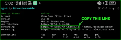 Ngrok-portforwording-termux.webp