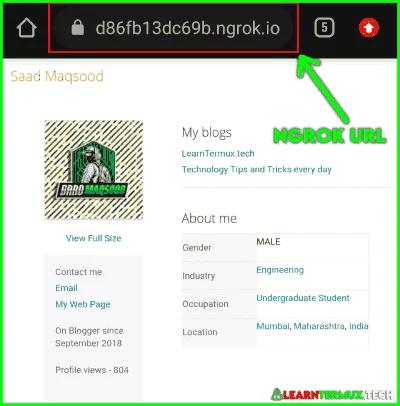 Apache2 Termux  Make Your Website Live with Ngrok.webp