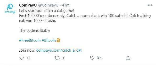 Catch a cat01.webp