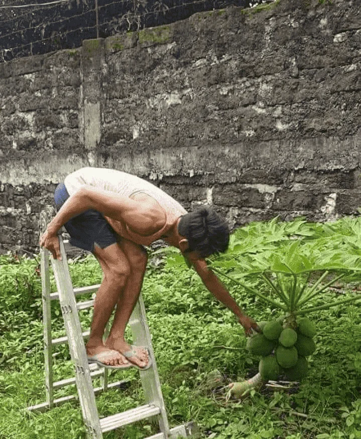 1604516162450.png