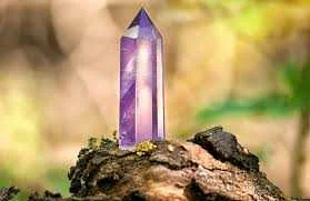 images (32).webp