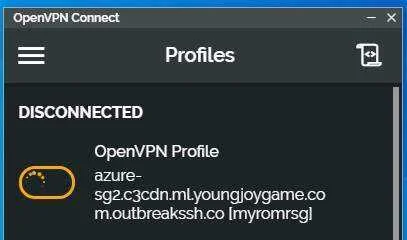 ovpn1.webp