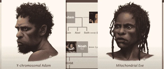 1604807384059.png