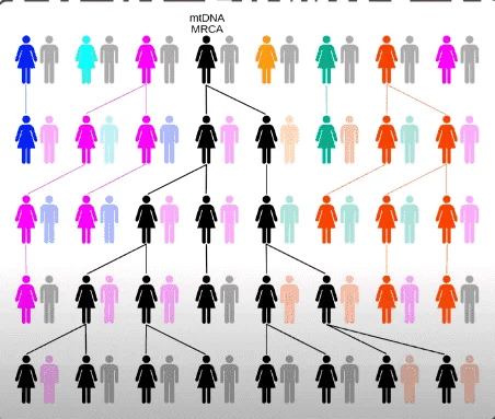 1604807638674.png