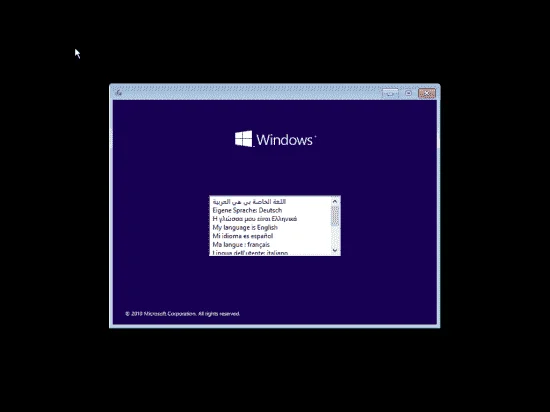 1.webp