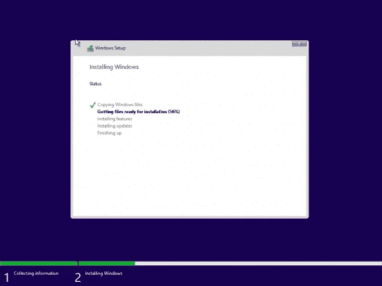 3.webp