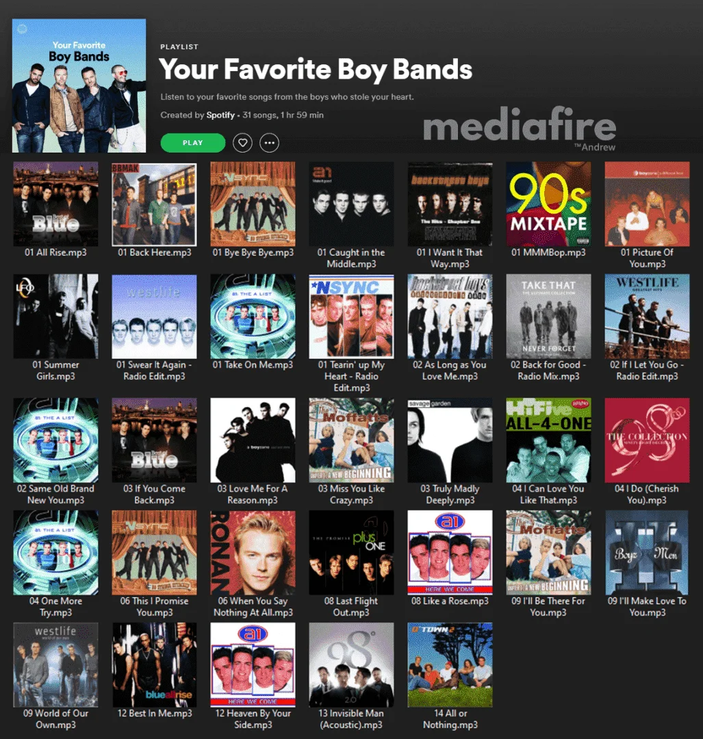 [Spotify Playlist]  Your Favorite Boy Bands [320Kbps MP3] - Mediafire
