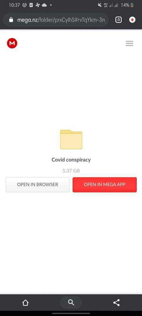 Covid 19 Conspiracy Files