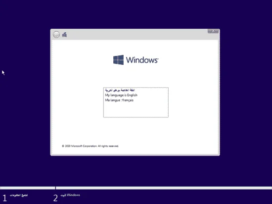 3.webp