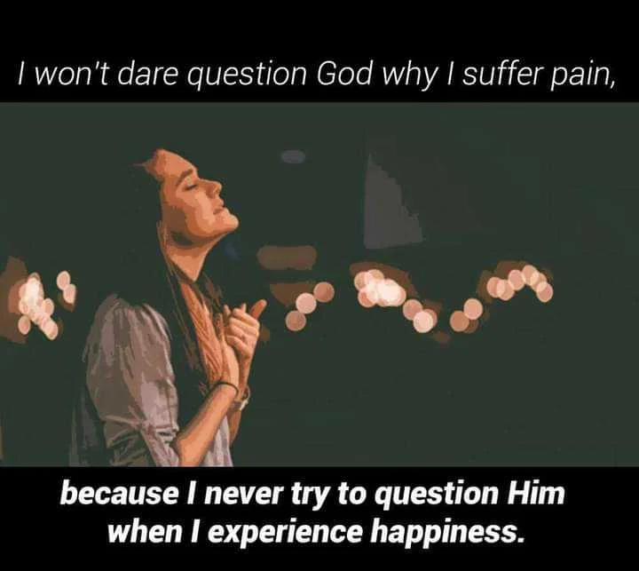 FB_IMG_1606762326189.webp