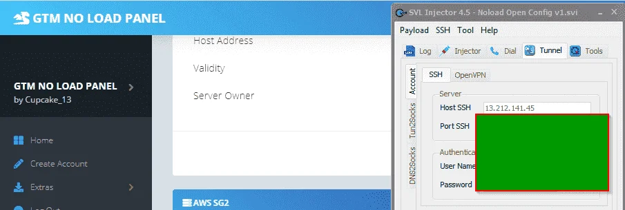 2020-12-04 06_44_39-SVL Injector 4.5 - Noload Open Config v1.svi.webp