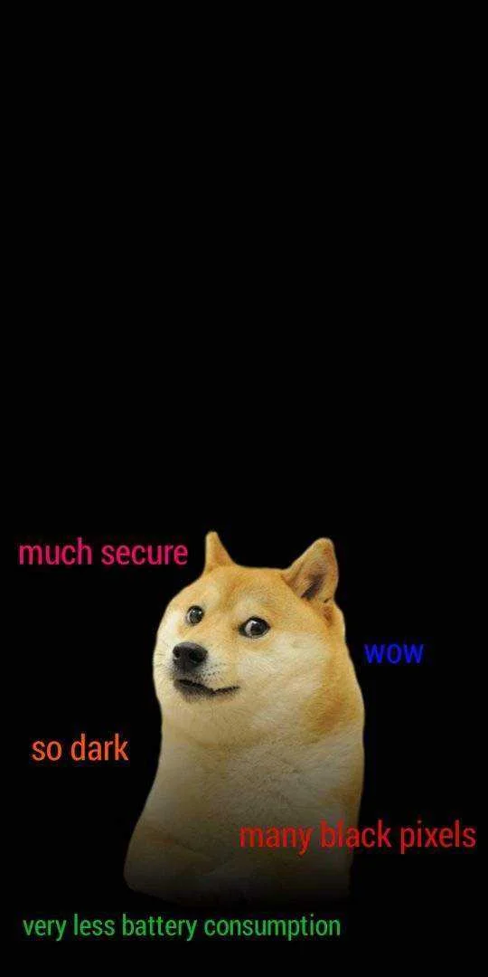 Doge approved_6673.webp