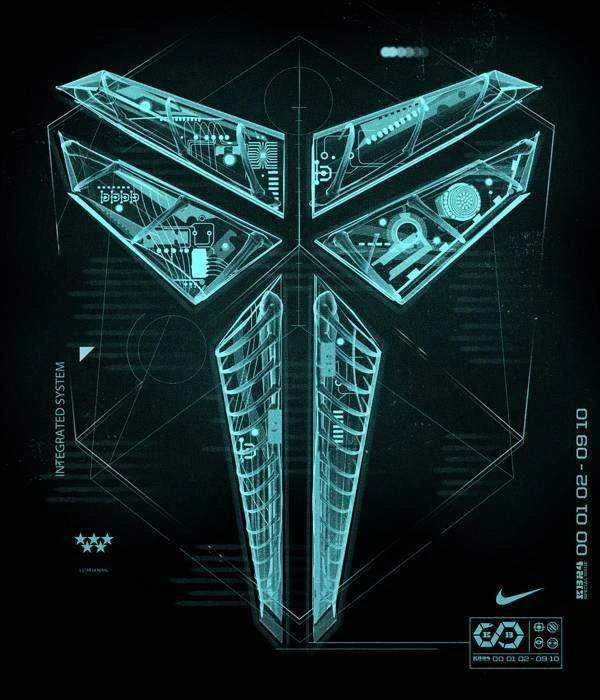 xray_mamba_kf-1.webp