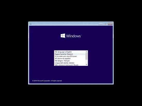 2.webp
