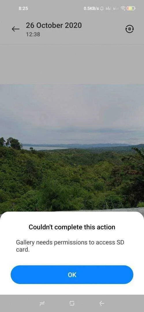131631195_390330192051319_1831858179028432926_n.webp