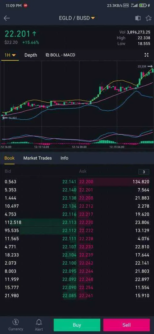 Screenshot_2020-12-15-23-09-48-483_com.binance.dev.webp