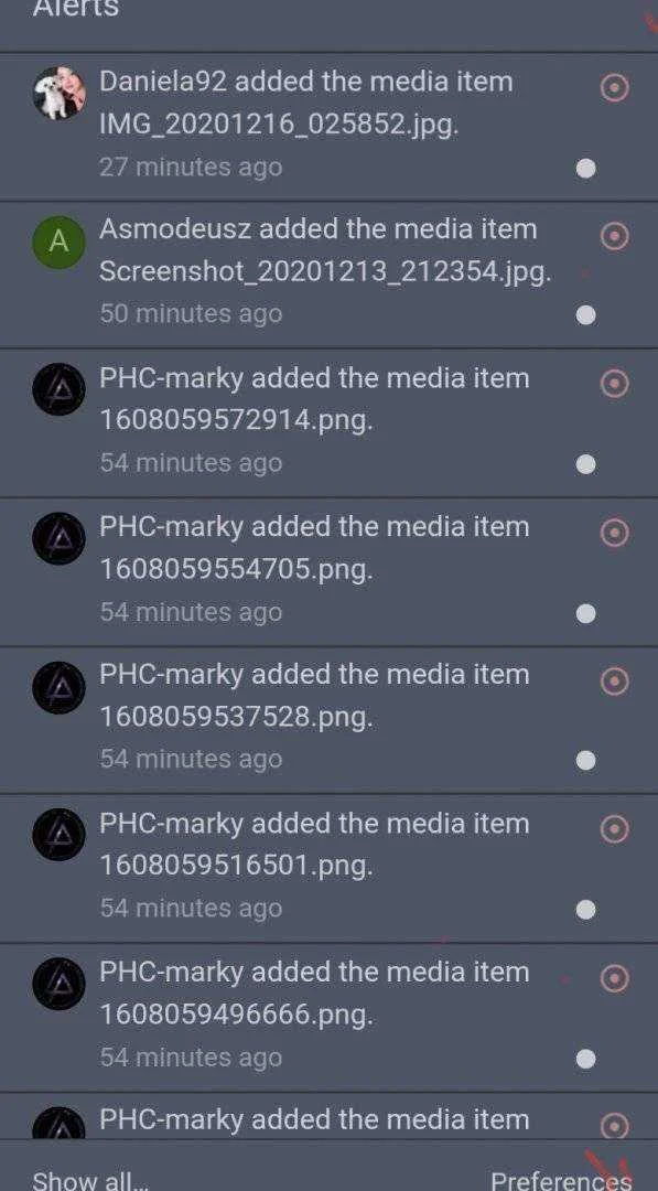 Screenshot_20201216-041011_Kiwi Browser.webp