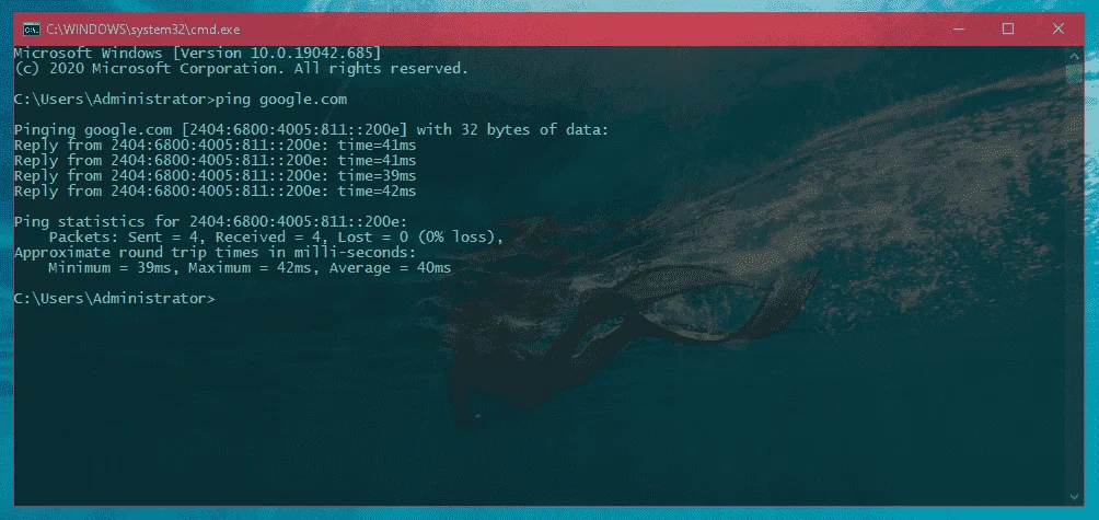 2.webp