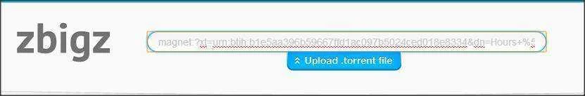 paste to zbigz.webp