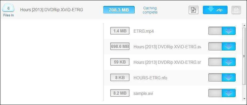 paste to zbigz 2.webp