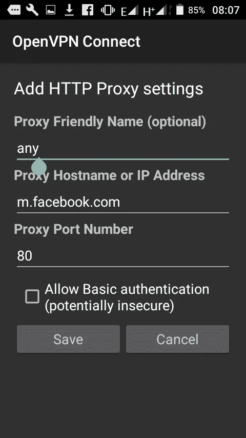 5.webp