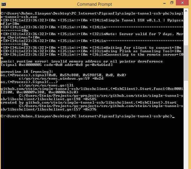 pigcanfly.webp