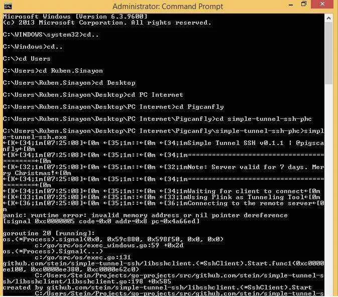 pigcanfly.webp