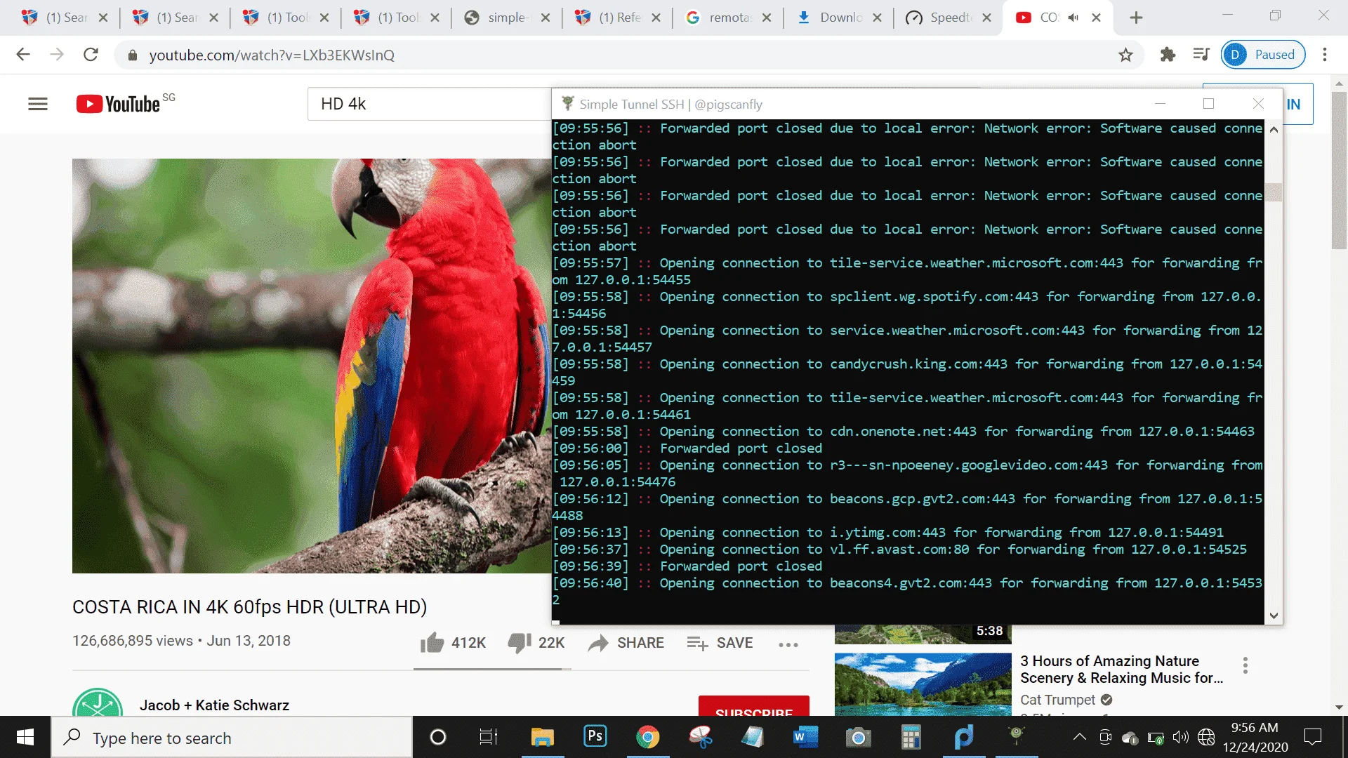 1608775039254.webp