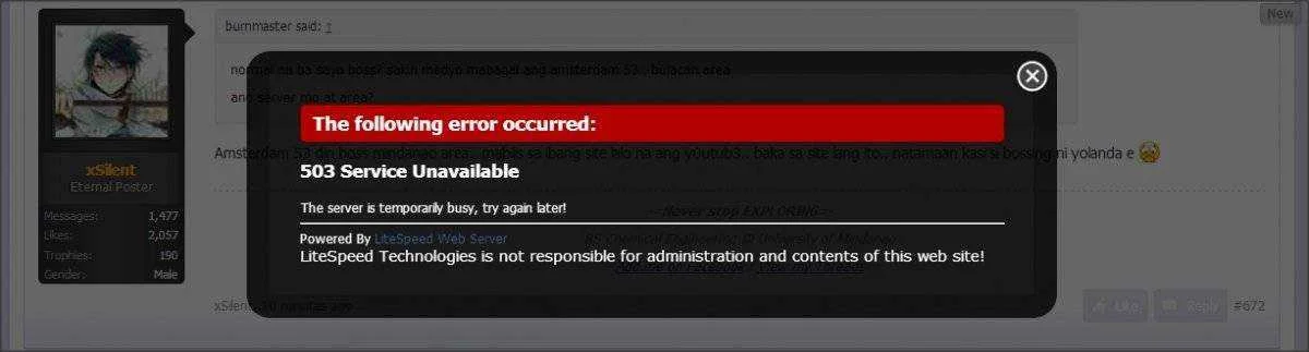 slow net 111213-2.webp