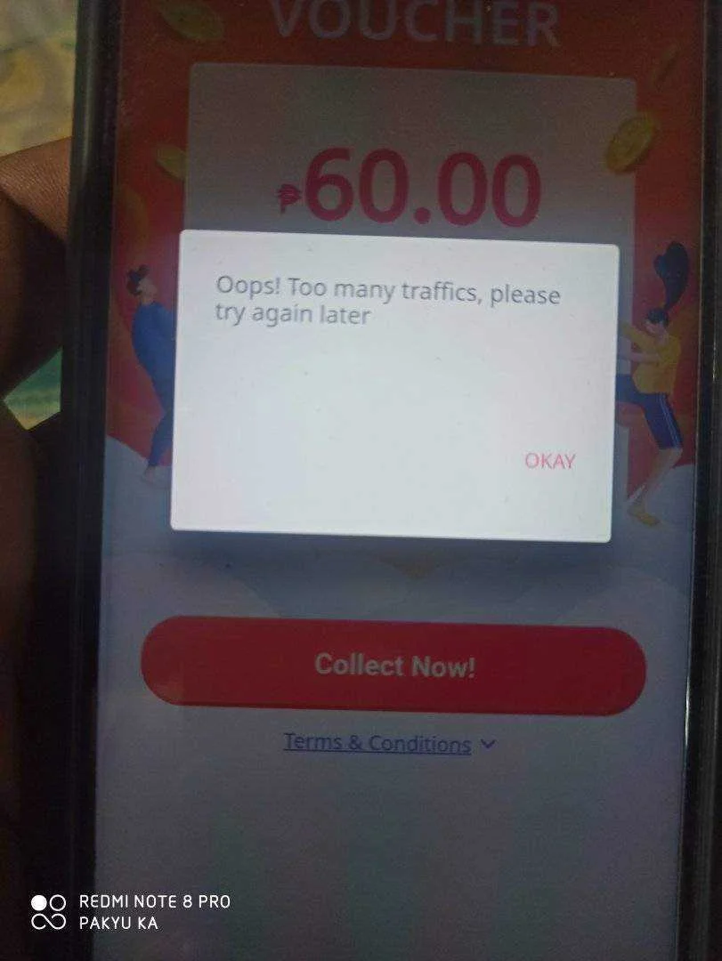 16094309214534149900570312120231.webp