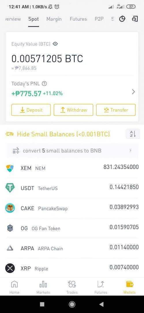 Screenshot_2021-01-01-00-41-03-101_com.binance.dev.webp