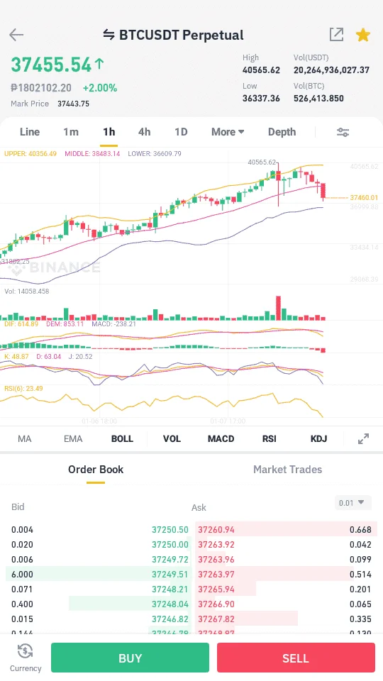 Screenshot_Binance_20210108-102654.webp