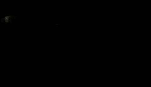 ezgif.com-add-text (1).gif