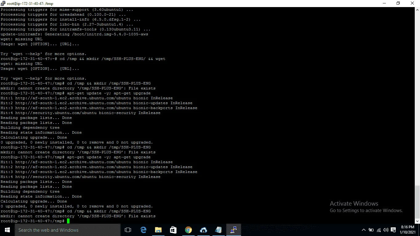1610338642286.webp