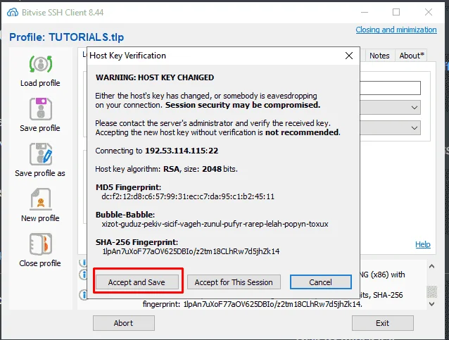 TUT2.webp