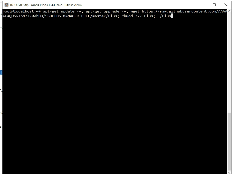 TUT7.webp