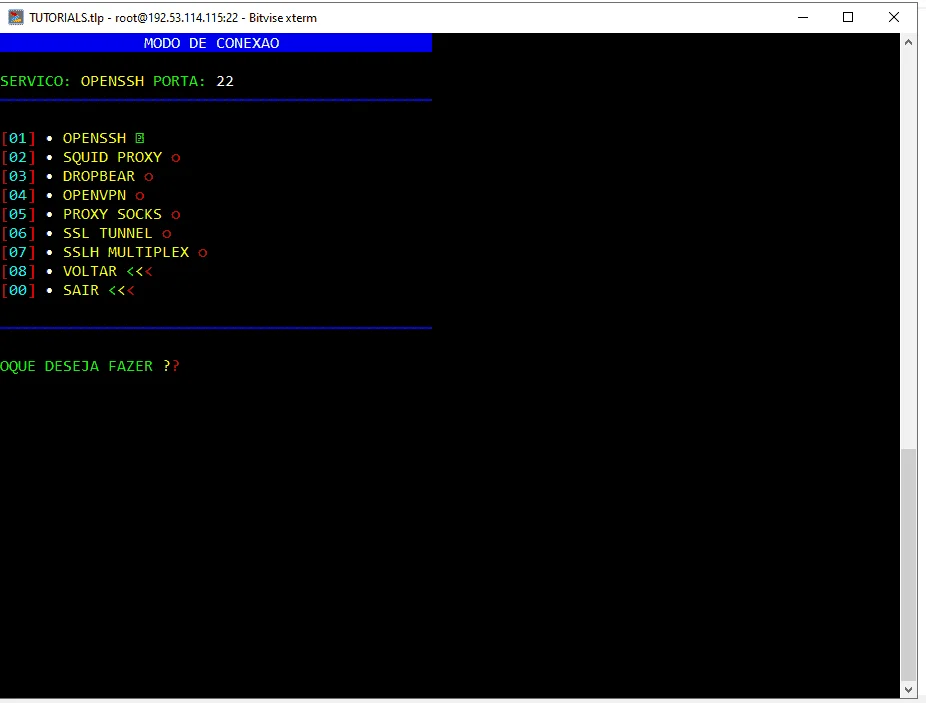 TUT13.webp