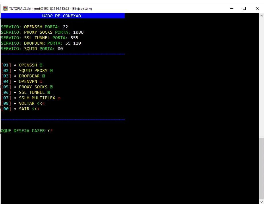 TUT14.webp