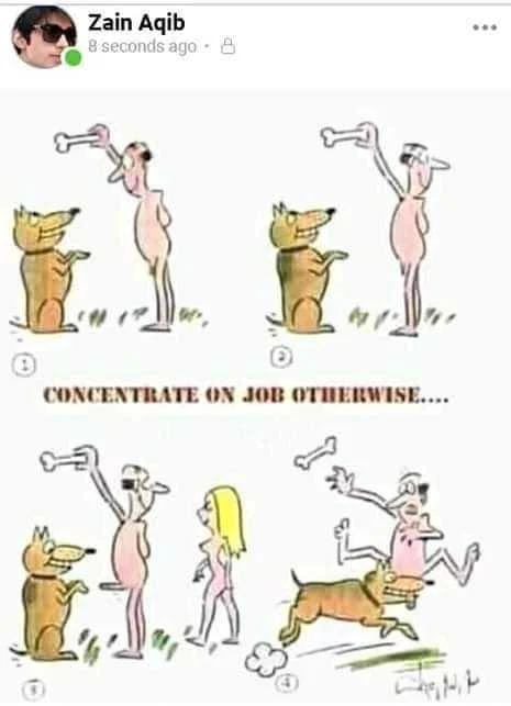 FB_IMG_1611097219922.webp