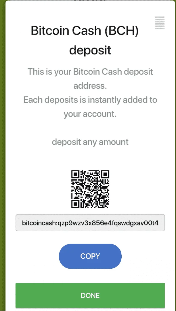 Screenshot_2021-01-21-03-36-25-52.webp