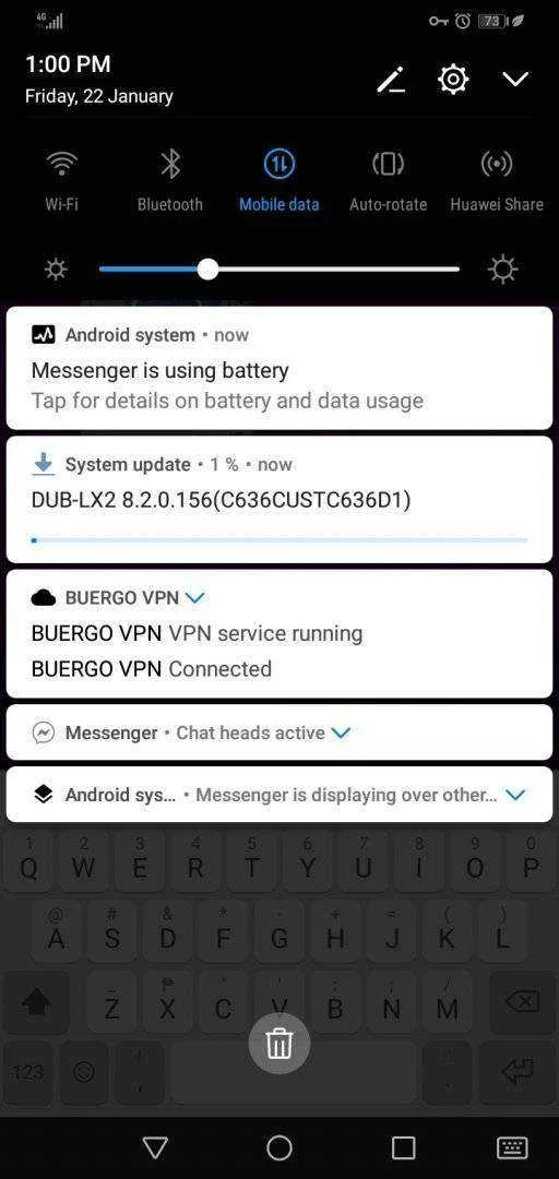 Screenshot_20210122-130029.jpg
