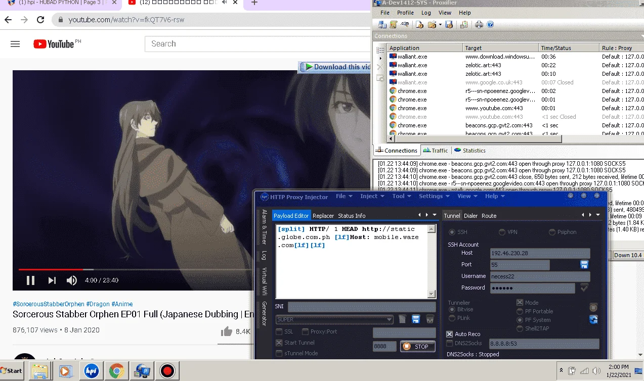 hpi.webp