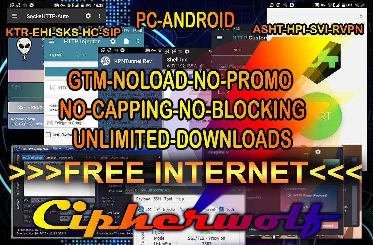T1.webp