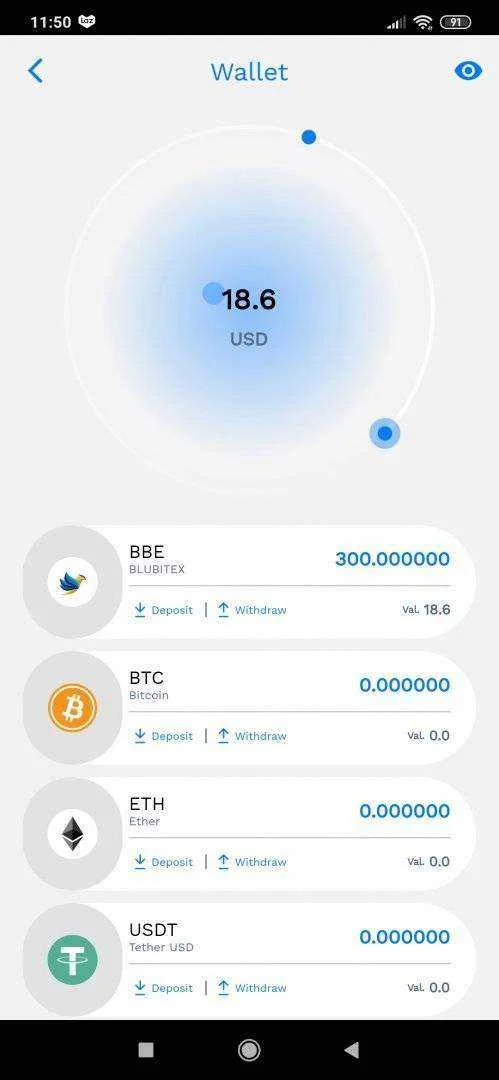 Screenshot_2021-01-23-11-50-12-964_com.blubitex.blubitexapp.webp