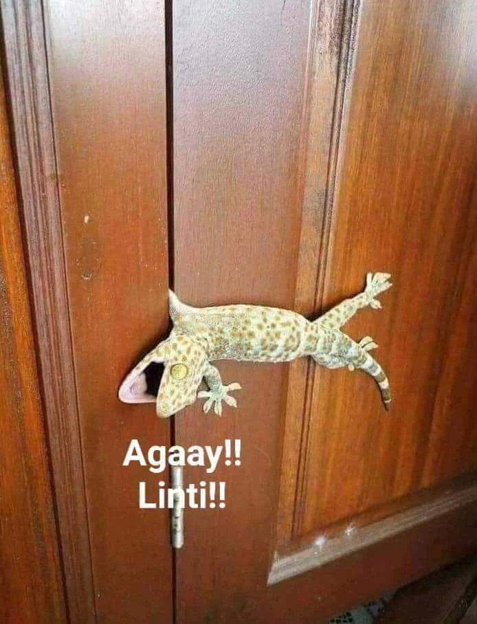 grabe kayo kayo buksan nyo pinto.jpg
