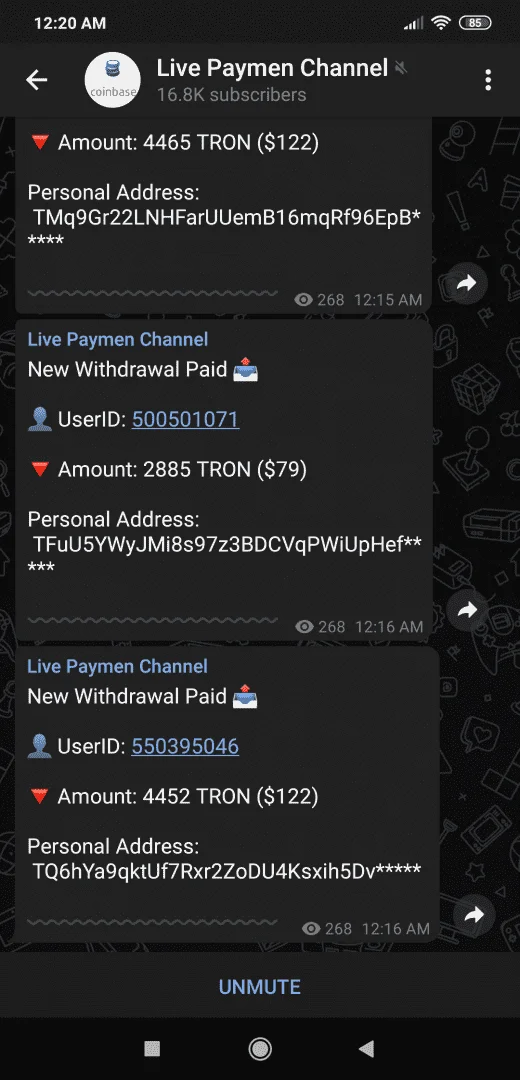 Screenshot_2021-01-24-00-20-26-598_org.telegram.messenger.webp