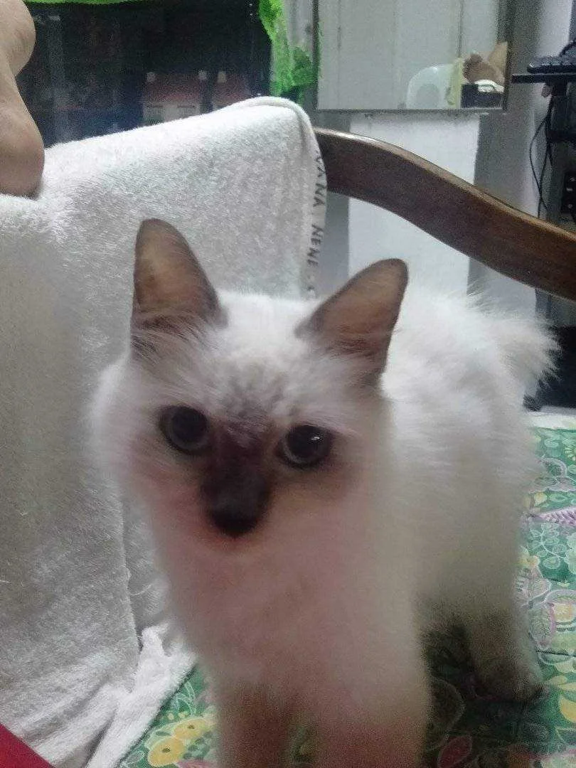 IMG20201128112415.jpg