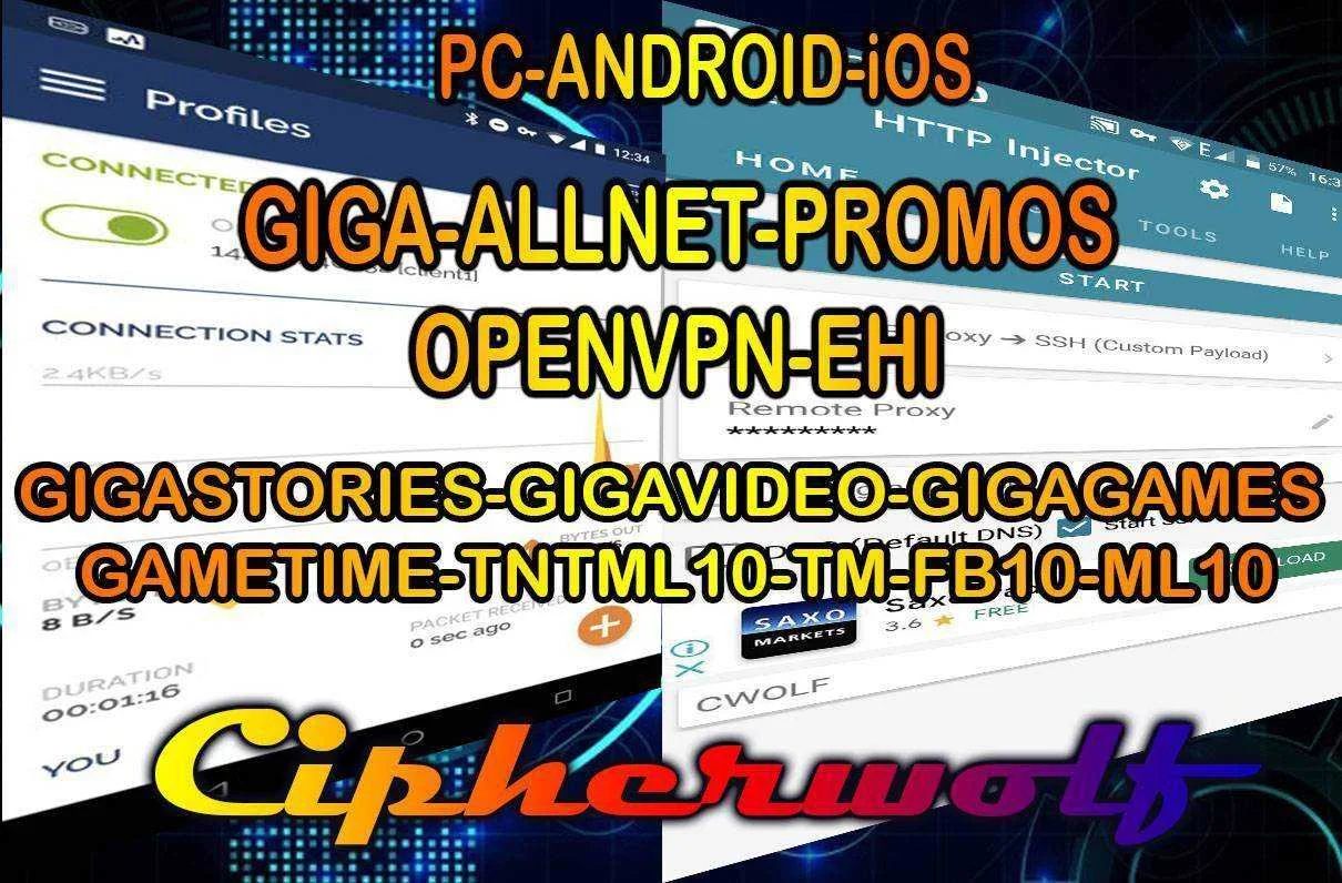 OVPN-EHI2.jpg